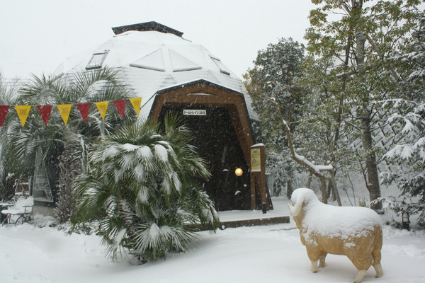 雪ドームのサムネール画像