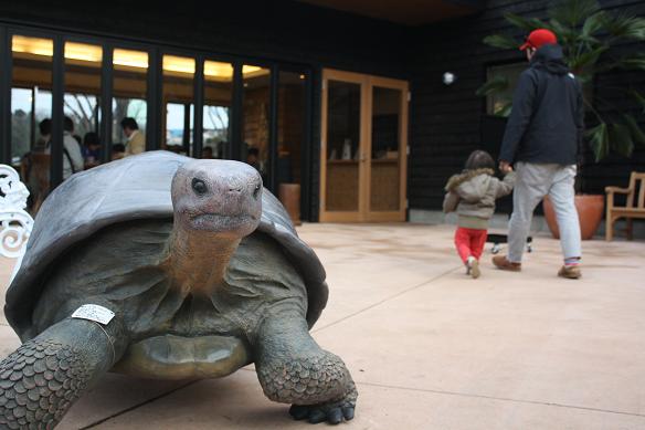 看板亀、ジョージ！？ | BESS藤沢 株式会社 アールシーコア
